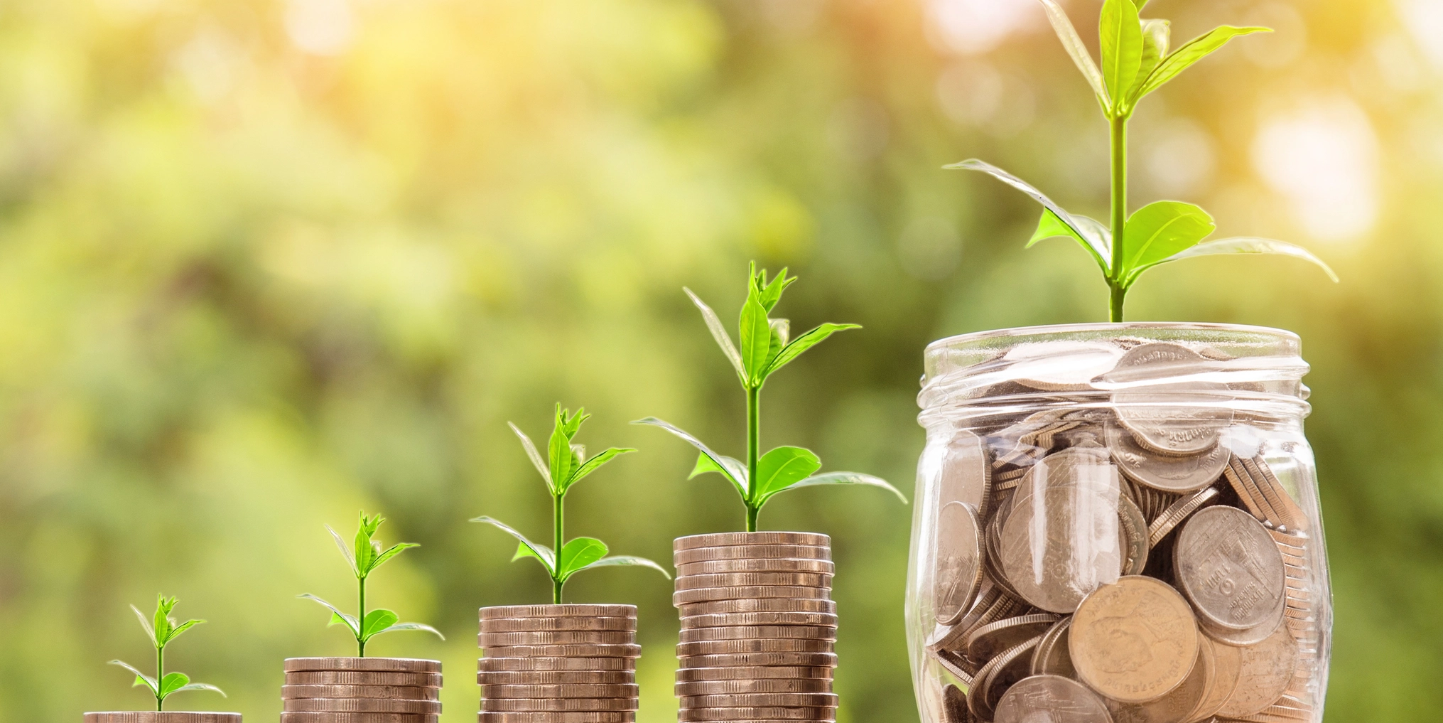 Header Wachstum Braucht Geld