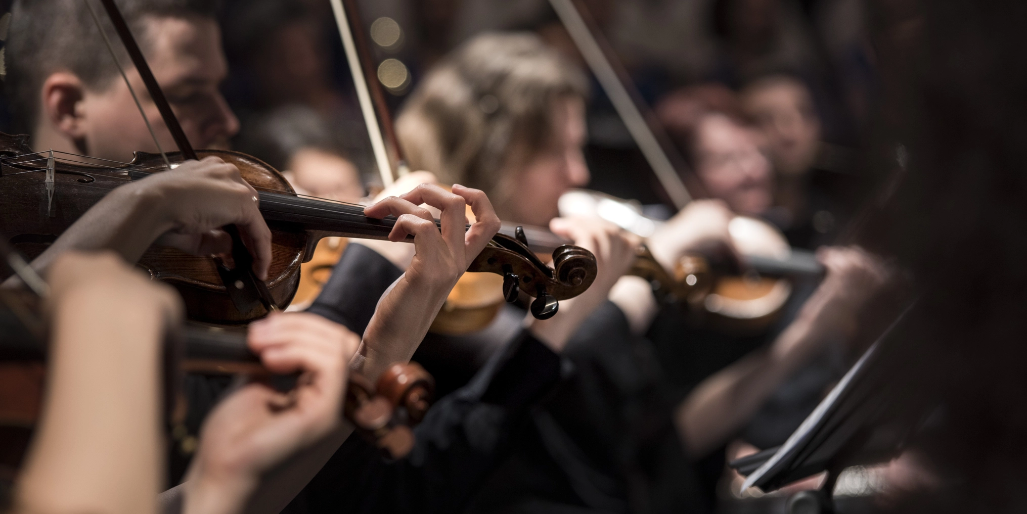 Violins 1838390